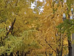 -四川大学(华西校区)