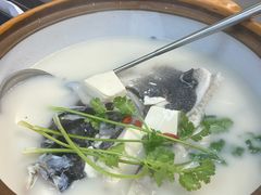-宝荣鱼馆·临湖之宴(千岛湖店)