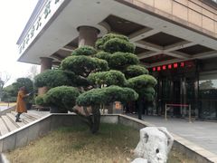 -山明水秀大饭店