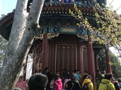 景点-景山公园
