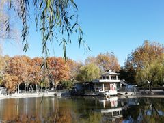 -黄村公园
