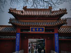 -桃花堤公园