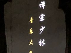 -禅宗少林·音乐大典