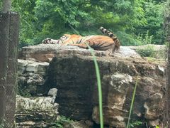 -秦皇岛野生动物园
