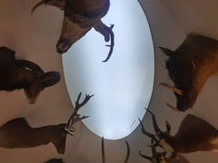 -陕西自然博物馆