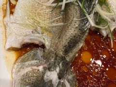-东方御宴海鲜酒楼(棕泉酒店)