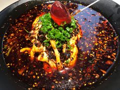 -拈菜(观音桥阳光世纪店)