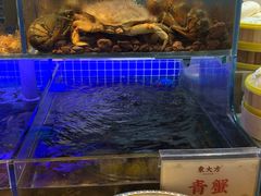 -東大方(湖州白鹭迎店)