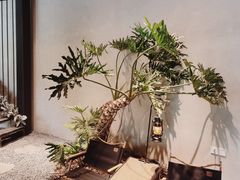 -J Create城市露营咖啡·简餐·宠物(上海动物园店)