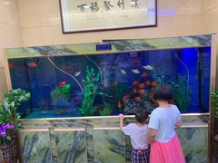 -竹溪百福酒家(同和店)