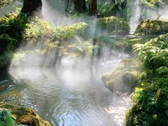 -Chom Cafe and Restaurant