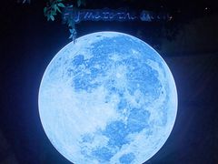 -天台月光帐篷火锅(合能锦城店)