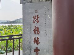 -西湖游船