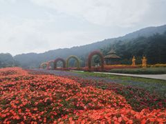 -广州市石门国家森林公园