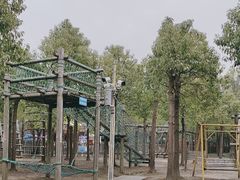 -上海滨江森林公园