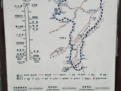 -铁山坪森林公园