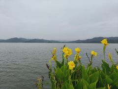 -东钱湖旅游度假区