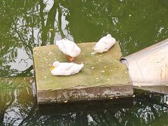 -关中书院