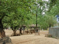 -西安秦岭野生动物园