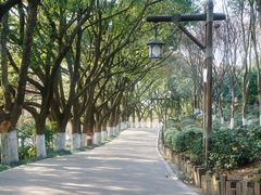 -天目湖山水园