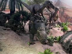 -国家自然博物馆