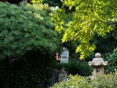 -龙华素斋(龙华路店)