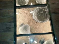 -古车博物馆