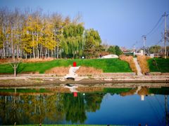 -坝河休闲公园