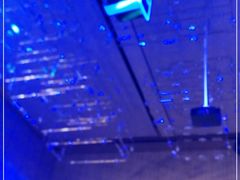 -深圳国际会展中心希尔顿酒店(前海华发冰雪世界店)
