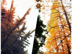 -长江路历史文化街区