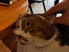 -LOOKA COFFEE(大鹏所城店)
