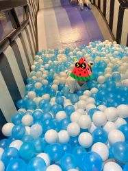 -MELAND CLUB亲子乐园·派对·餐厅(北京芳圆里ID MALL店)