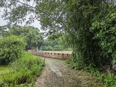 -江门古劳水乡旅游区