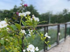 -盆满钵满·国家非遗传承(云台店)