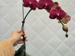 -万顷园艺世界