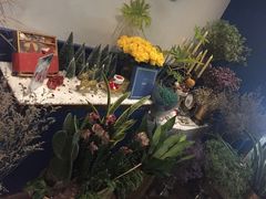 -也枫·小黄楼(南山路旗舰店)