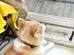 -餐酒吧Com-ing Bar(上海路店)