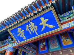-张掖大佛寺景区