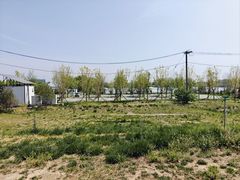 -白洋淀景区