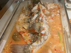 -佬肥猫(国华广场店)
