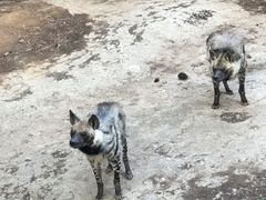 -南昌动物园