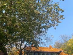-青檀寺景区