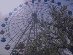 -二一九公园