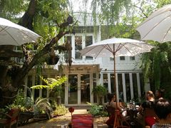 -Fern Forest Cafe