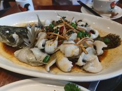 -顺德了能馆(虎门店)