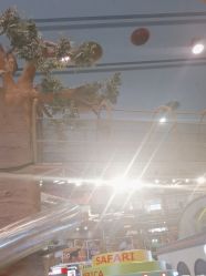 -卡通尼·Safari非洲探索乐园·生日会(金桥国际商业广场店)