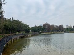 -四海公园(南山区)