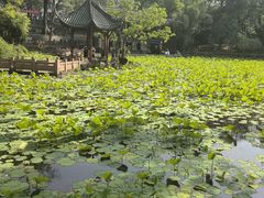 -房湖公园