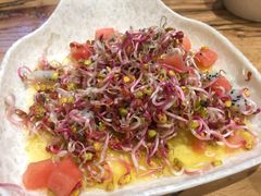 果味萝卜芽-鼎原力量东北吊炉烧烤(临河街店)