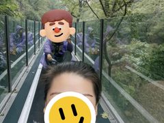 -嵖岈山风景区